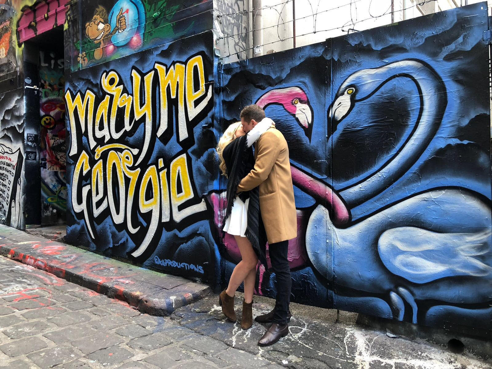 Flamingo Grafitti Proposal